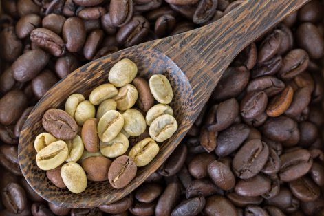 Spoon of dried raw unroasted green coffee berry seeds on top of roasted coffee beans